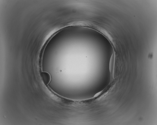 X0000091221091200708161651