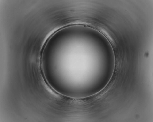 X0000091221092200708161651