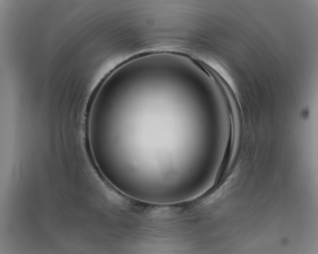 X0000091221093200708161651