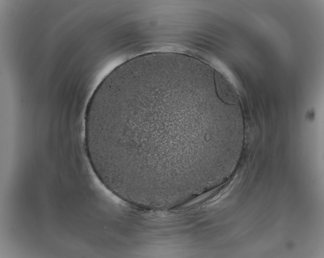 X0000091221095200708161651