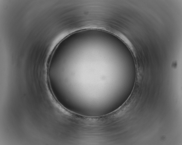 X0000091221096200708161651