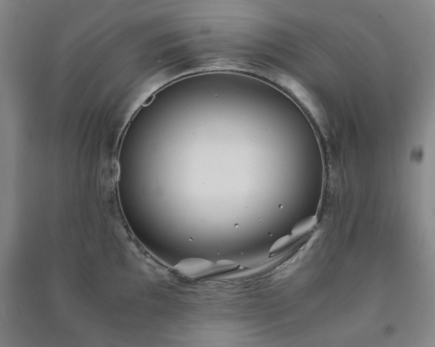 X0000091221097200708161651