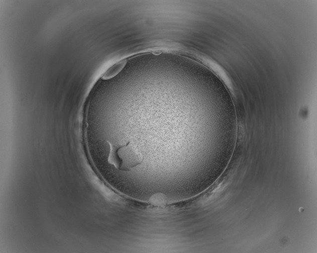 X0000091221099200708161651