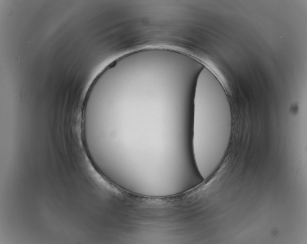 X0000091221100200708161651