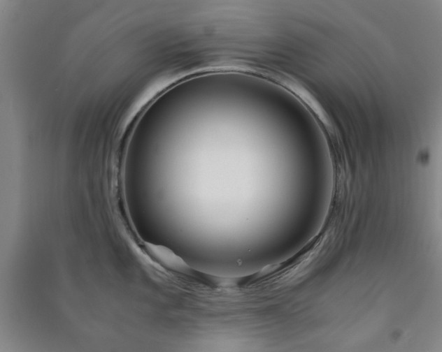 X0000091221101200708161651