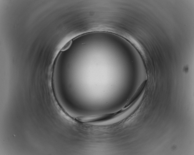 X0000091221102200708161651