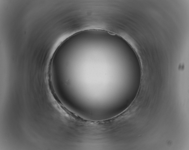 X0000091221104200708161651