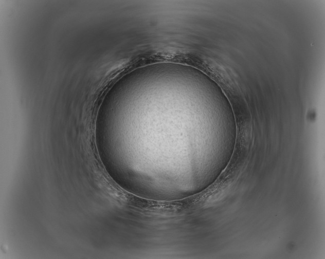 X0000091221105200708161650