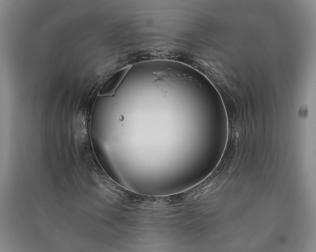 X0000091221106200708161650