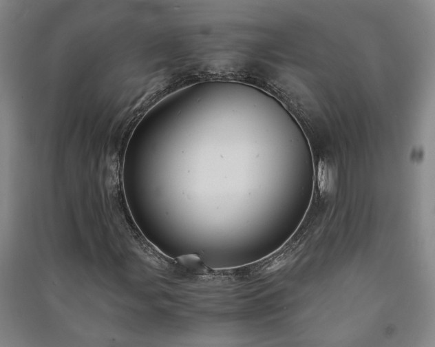 X0000091221107200708161650