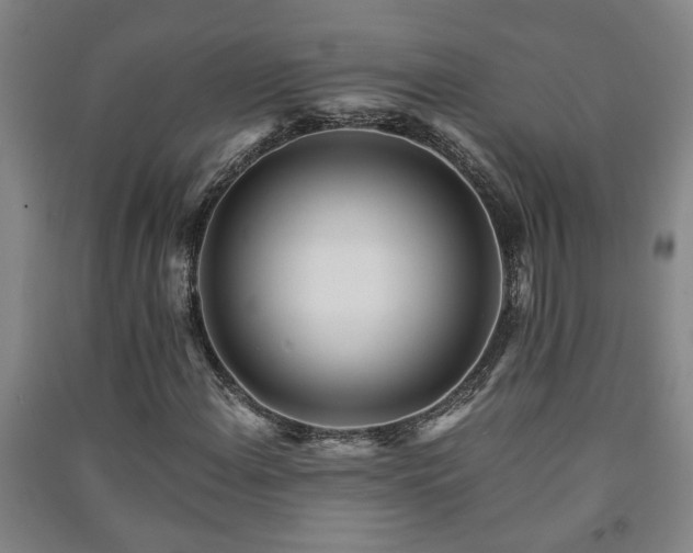 X0000091221108200708161650