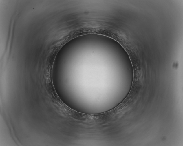 X0000091221109200708161650