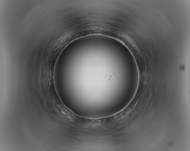 X0000091221111200708161650