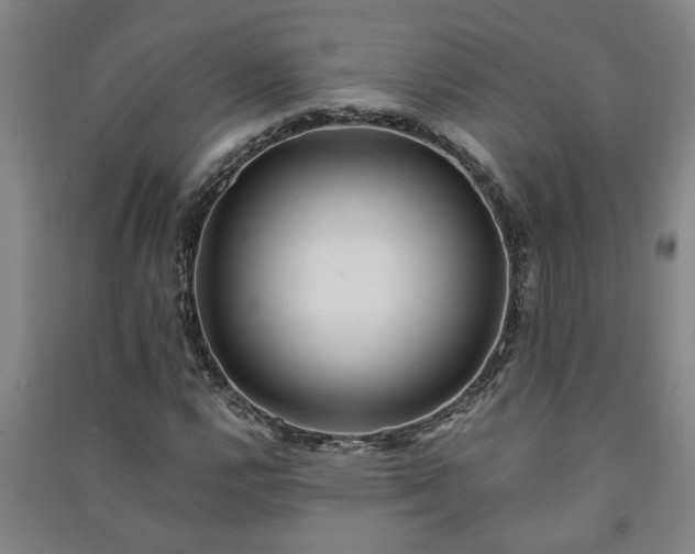 X0000091221112200708161651