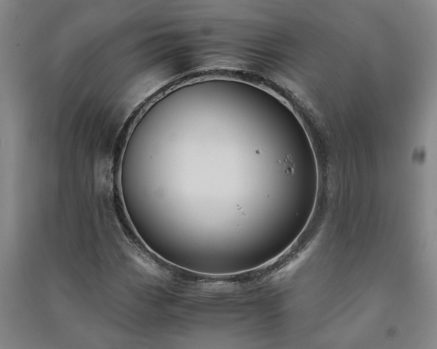 X0000091221113200708161651