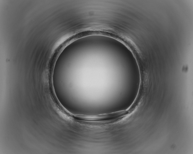 X0000091221114200708161651