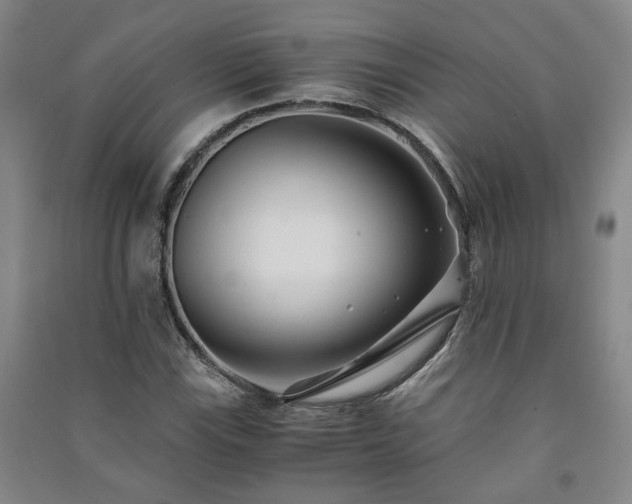 X0000091221115200708161651