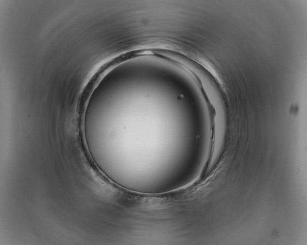 X0000091221116200708161651