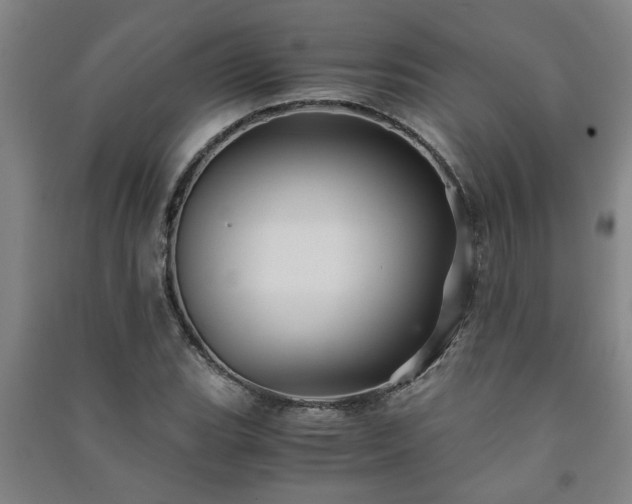 X0000091221119200708161651