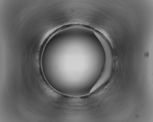 X0000091221120200708161651