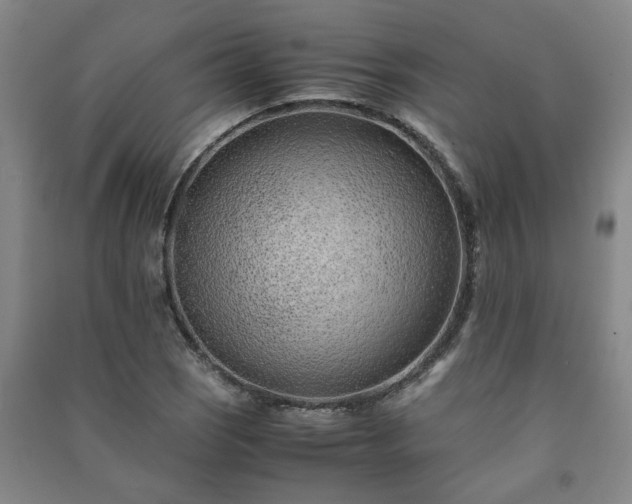 X0000091221121200708161651