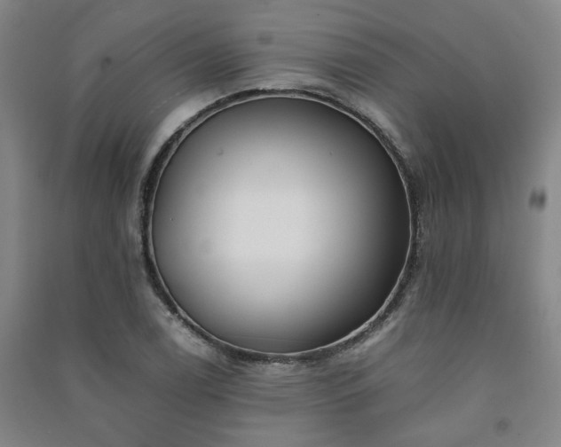 X0000091221122200708161651