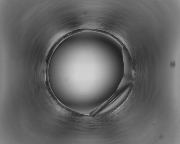 X0000091221123200708161651