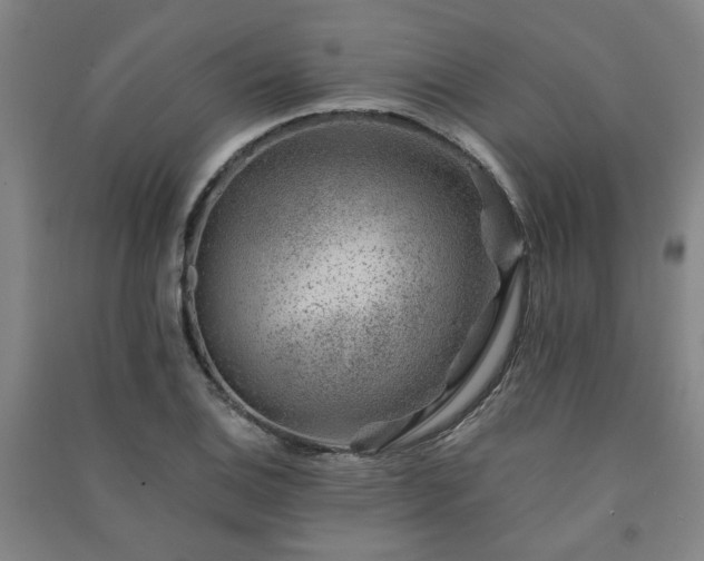 X0000091221124200708161651