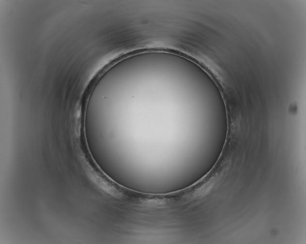 X0000091221126200708161651