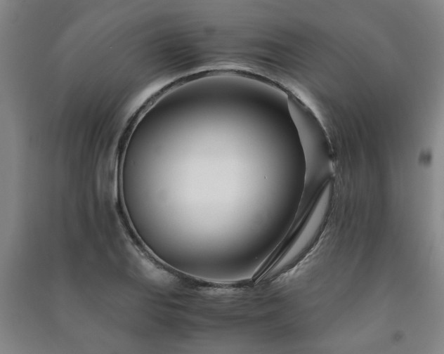 X0000091221127200708161651