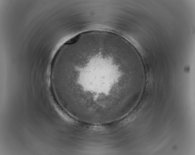 X0000091221128200708161651