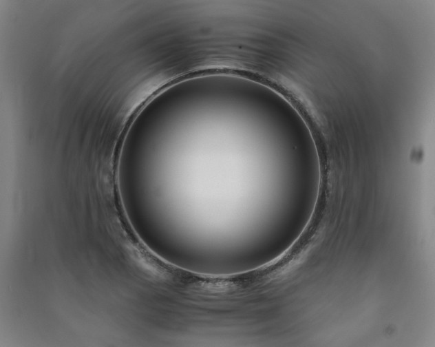 X0000091221129200708161651