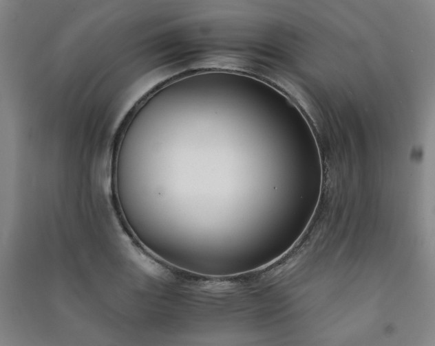 X0000091221131200708161651