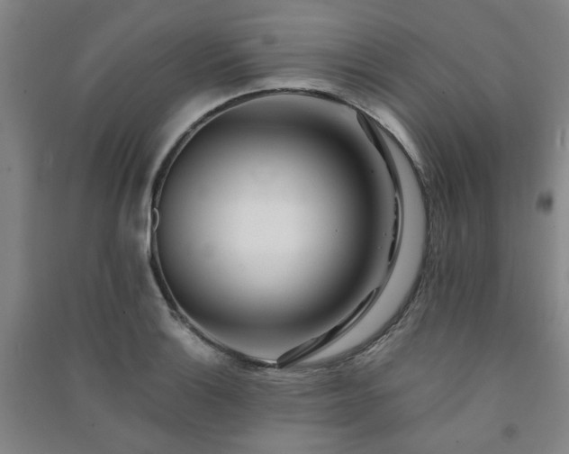 X0000091221132200708161651