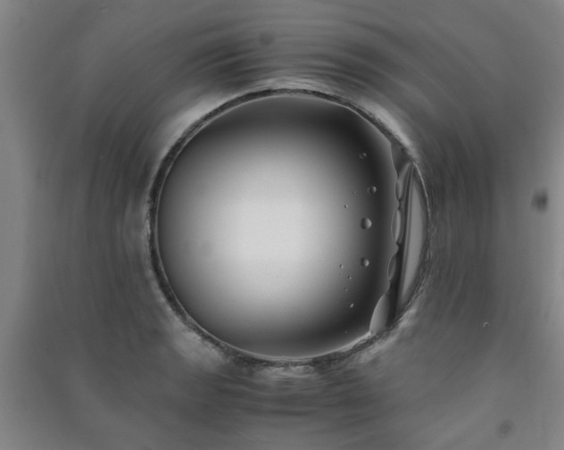 X0000091221133200708161651