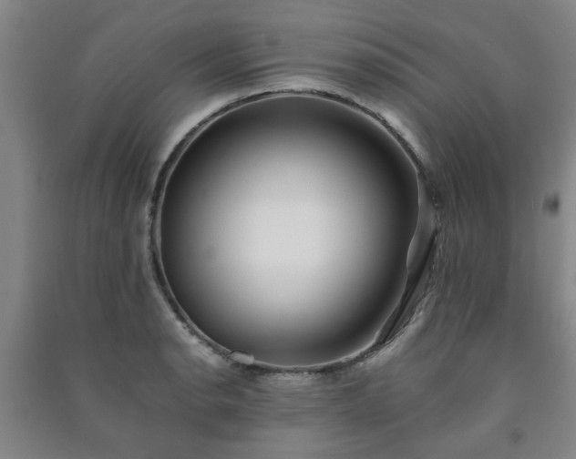 X0000091221134200708161651