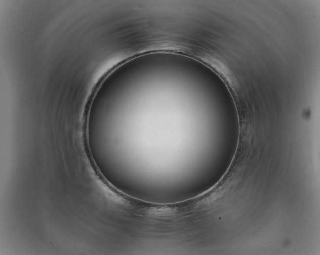 X0000091221135200708161651