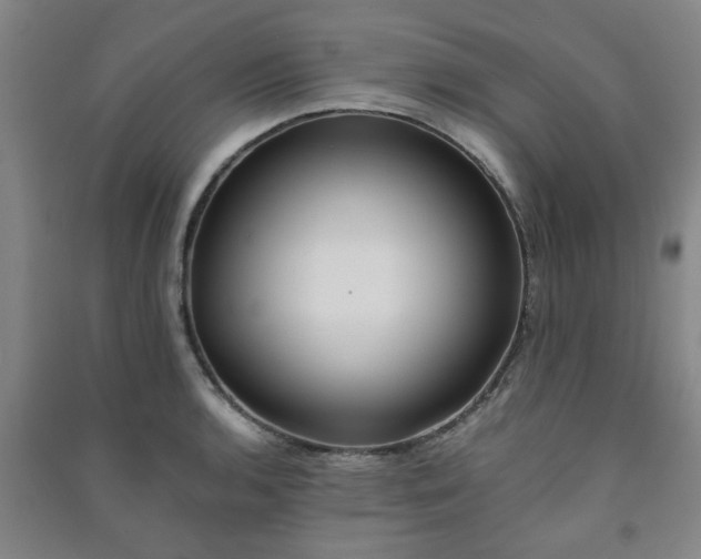 X0000091221136200708161651