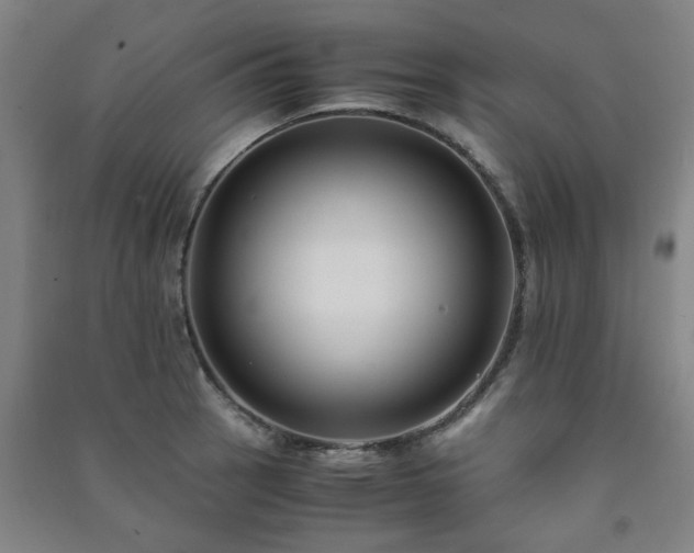 X0000091221137200708161651