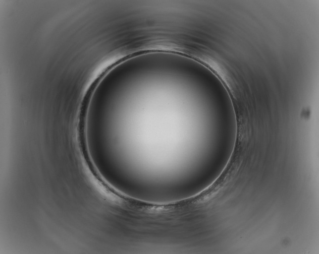 X0000091221139200708161651