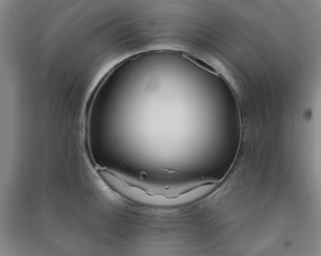 X0000091221140200708161651