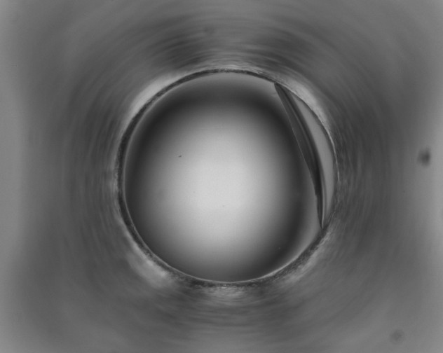 X0000091221141200708161651