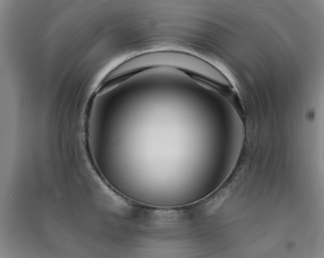 X0000091221142200708161651