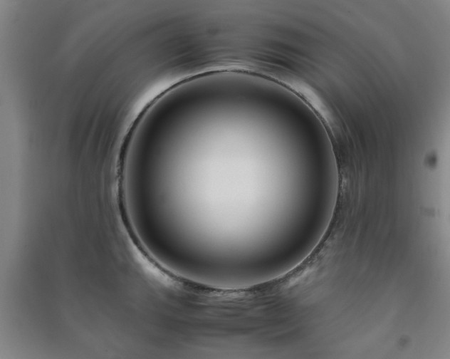 X0000091221143200708161651