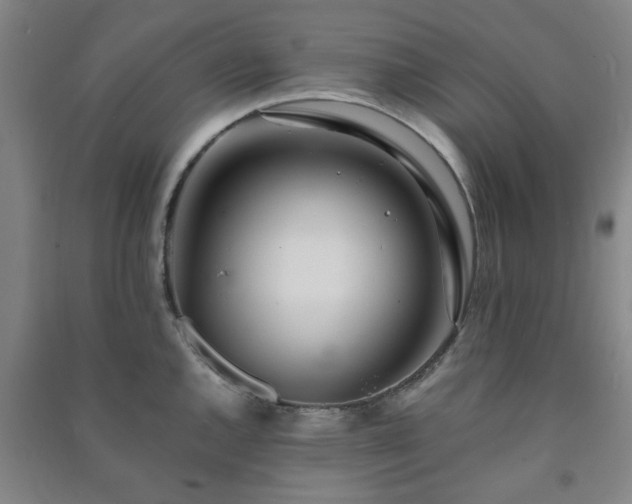 X0000091221144200708161651