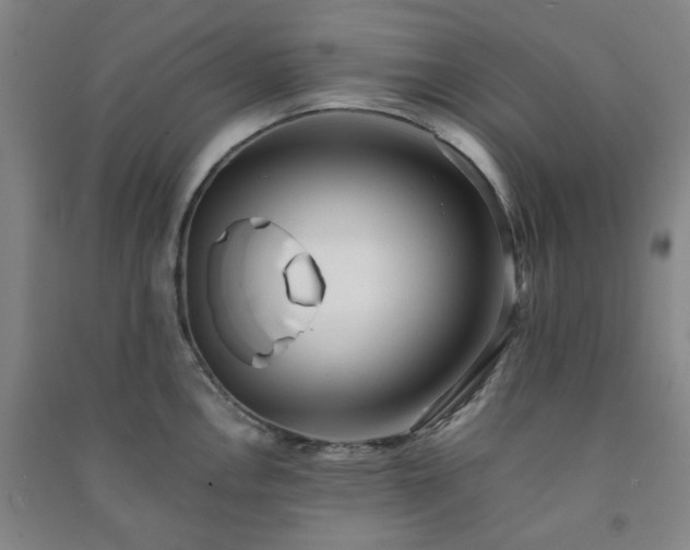 X0000091221146200708161651