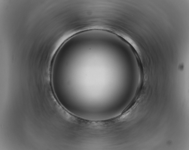 X0000091221148200708161651