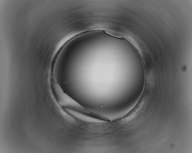 X0000091221149200708161651