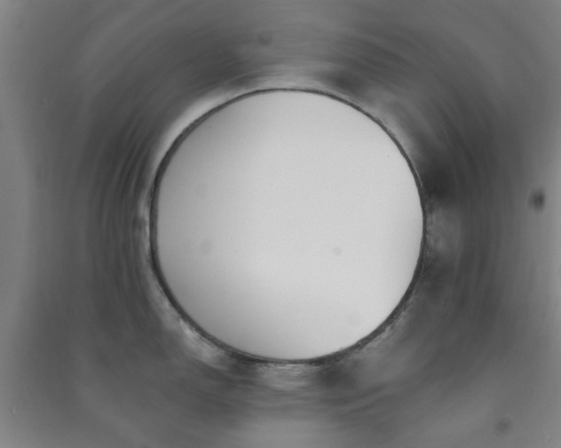 X0000091221150200708161651