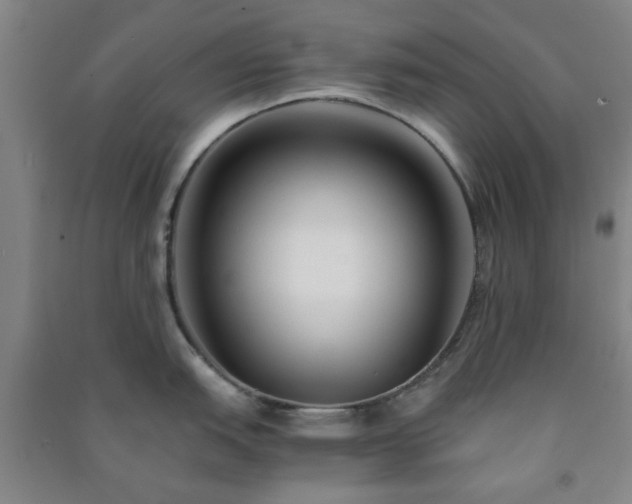 X0000091221151200708161651